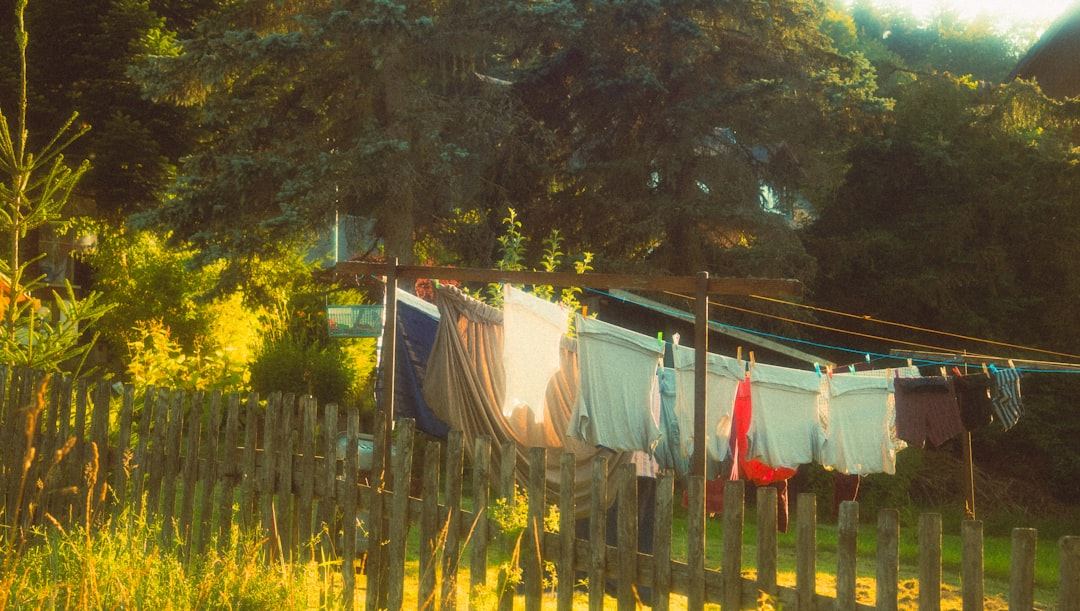 Washing drying on a backyard line in warm afternoon sun