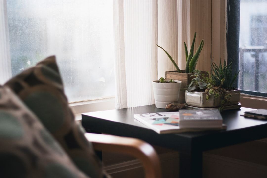 A calm, plant-filled room with soft natural light from a large window